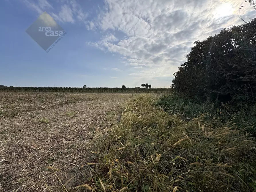 Immagine 10 di Rustico / casale in vendita  in Via della Resistenza a Campolongo Maggiore