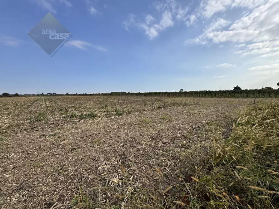 Immagine 11 di Rustico / casale in vendita  in Via della Resistenza a Campolongo Maggiore