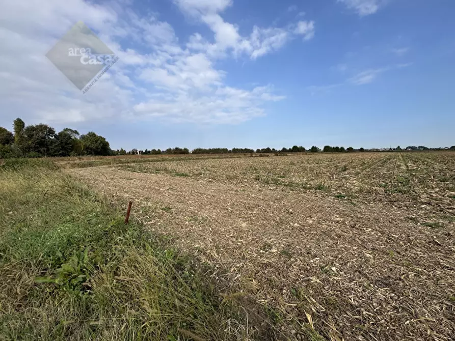 Immagine 12 di Rustico / casale in vendita  in Via della Resistenza a Campolongo Maggiore