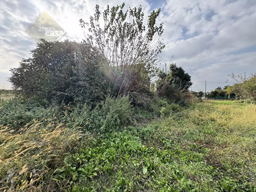 Immagine 13 di Rustico / casale in vendita  in Via della Resistenza a Campolongo Maggiore