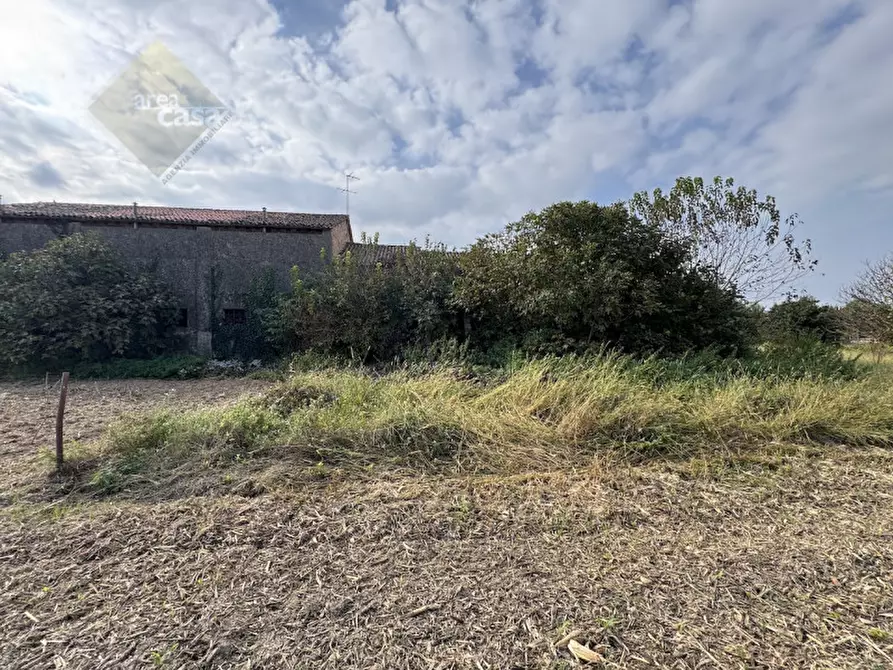 Immagine 14 di Rustico / casale in vendita  in Via della Resistenza a Campolongo Maggiore