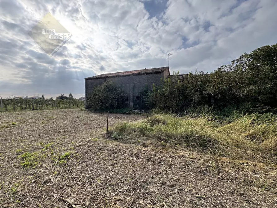 Immagine 15 di Rustico / casale in vendita  in Via della Resistenza a Campolongo Maggiore