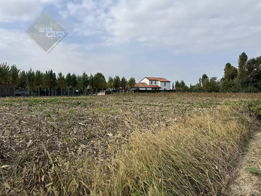 Immagine 16 di Rustico / casale in vendita  in Via della Resistenza a Campolongo Maggiore