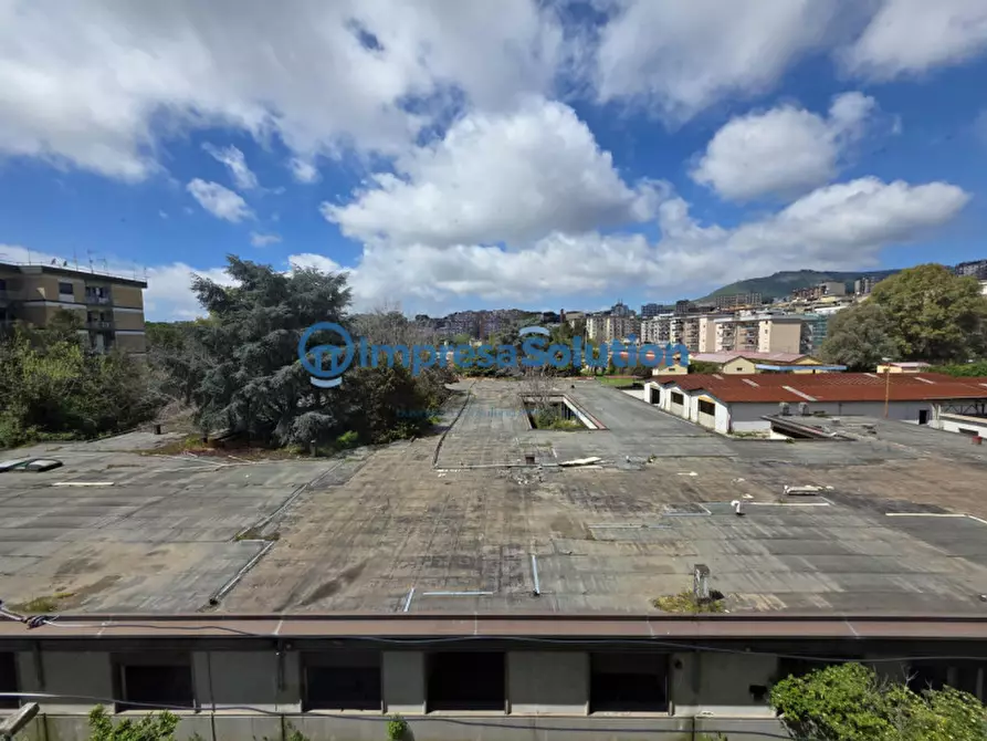 Immagine 18 di Camera in affitto  in Via Consalvo a Napoli