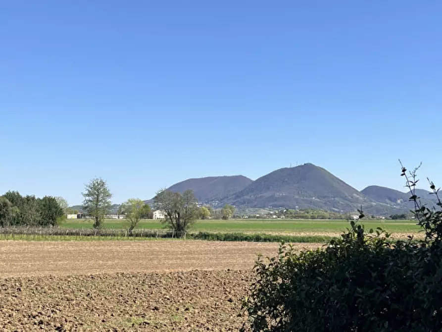 Immagine 10 di Appartamento in vendita  in Via Alcide de Gasperi a Barbarano Mossano