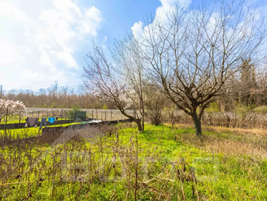 Immagine 31 di Casa indipendente in vendita  in località molino nuovo n 33 a Fontaneto D'agogna