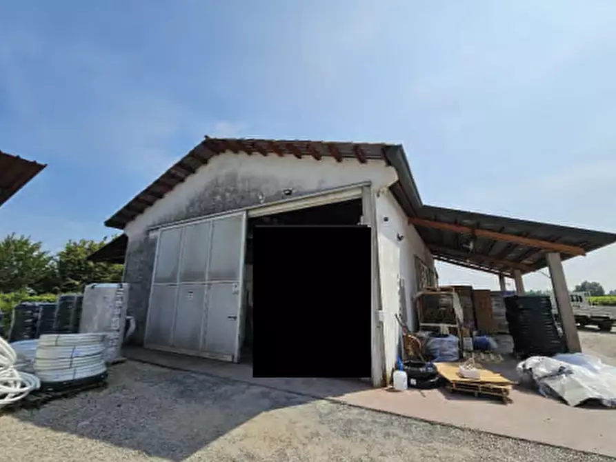 Immagine 4 di Casa indipendente in vendita  in Via Roma, 16 a San Biagio Di Callalta