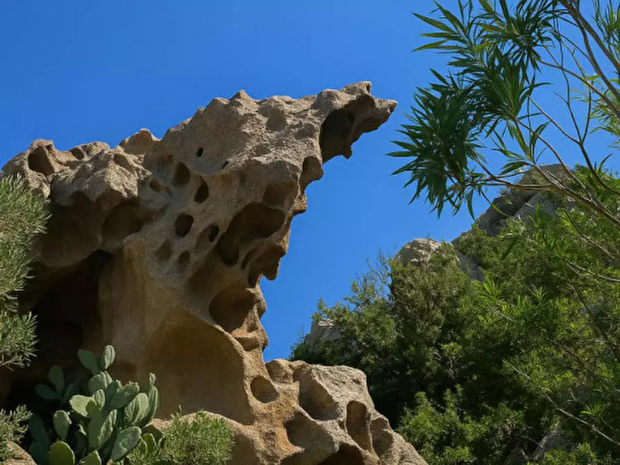 Immagine 7 di Villetta a schiera in vendita  in VIA GIAN BATTISTA COSSU 34 a Olbia