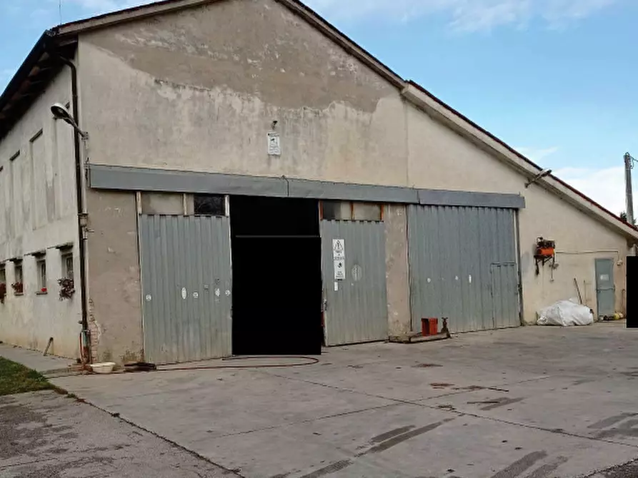 Immagine 3 di Rustico / casale in vendita  in Via Pra Gatta, 4 a Oderzo