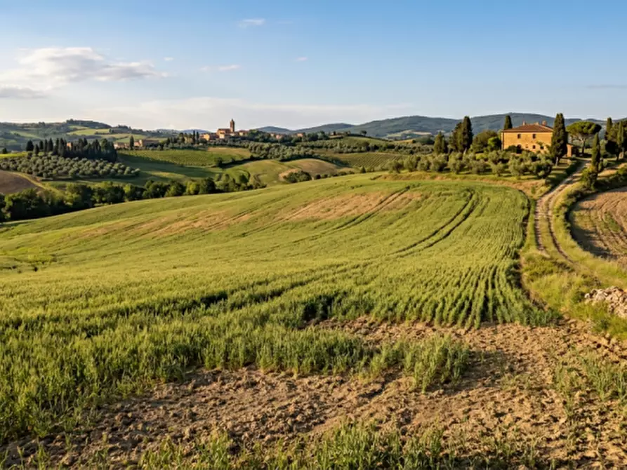 Immagine 3 di Ufficio in vendita  in Via Verona a Verona