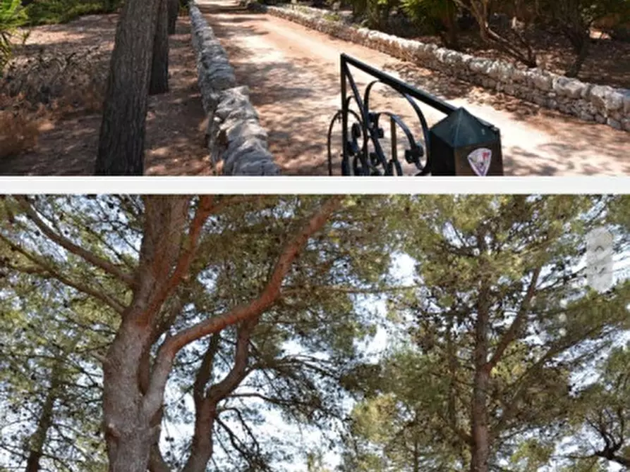 Immagine 6 di Rustico / casale in vendita  in C.da Colacurto a Carovigno