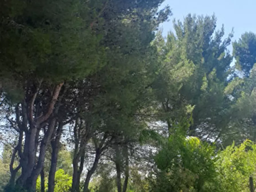 Immagine 12 di Rustico / casale in vendita  in C.da Colacurto a Carovigno