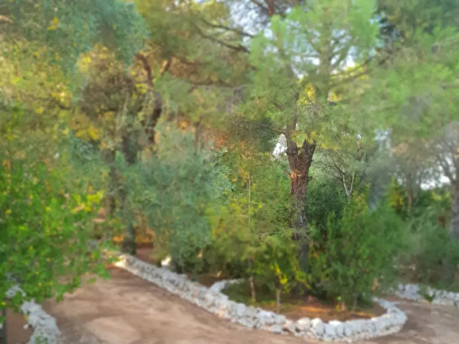 Immagine 14 di Rustico / casale in vendita  in C.da Colacurto a Carovigno