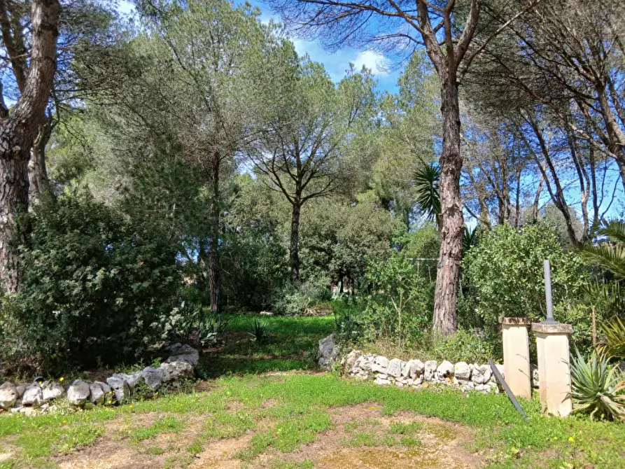 Immagine 17 di Rustico / casale in vendita  in C.da Colacurto a Carovigno