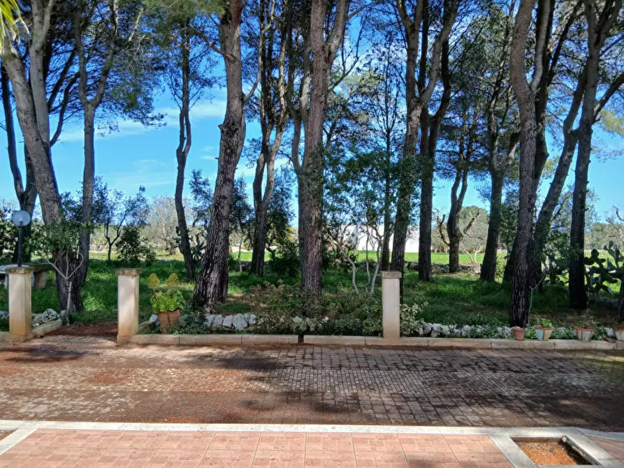 Immagine 21 di Rustico / casale in vendita  in C.da Colacurto a Carovigno