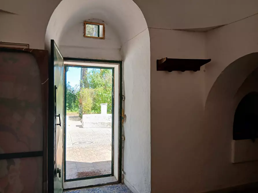 Immagine 32 di Rustico / casale in vendita  in C.da Colacurto a Carovigno