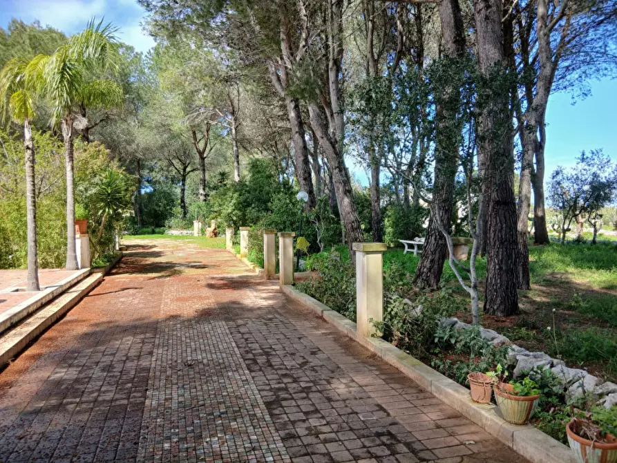 Immagine 41 di Rustico / casale in vendita  in C.da Colacurto a Carovigno