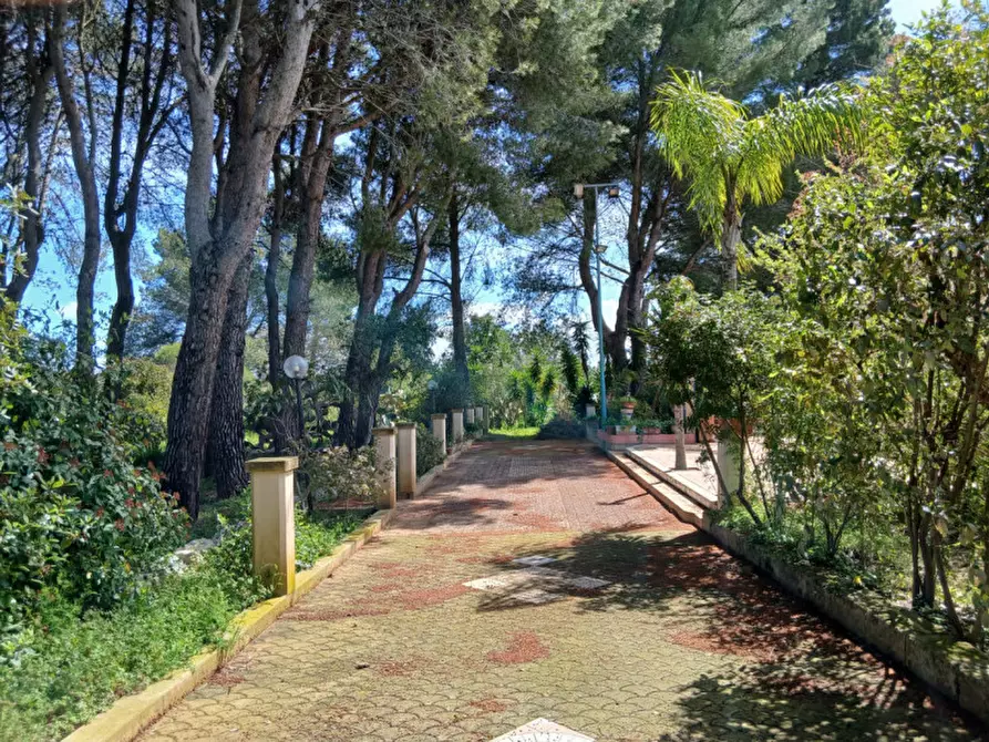 Immagine 49 di Rustico / casale in vendita  in C.da Colacurto a Carovigno