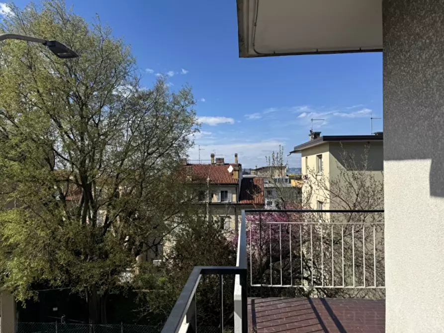 Immagine 21 di Camera in affitto  in Via Tigor 30 a Trieste