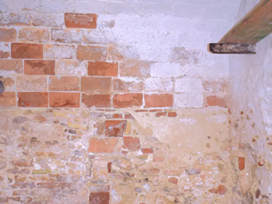 Immagine 13 di Rustico / casale in vendita  in c.da san rocco vecchio a San Vito Chietino