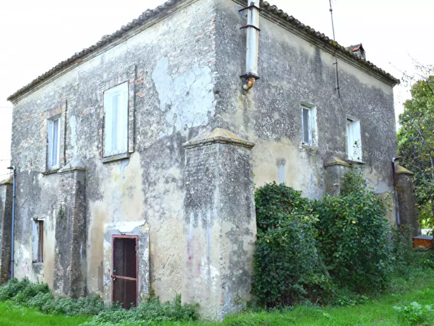 Immagine 16 di Rustico / casale in vendita  in c.da san rocco vecchio a San Vito Chietino
