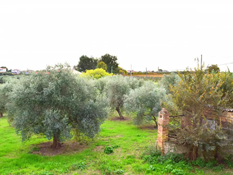 Immagine 21 di Rustico / casale in vendita  in c.da san rocco vecchio a San Vito Chietino