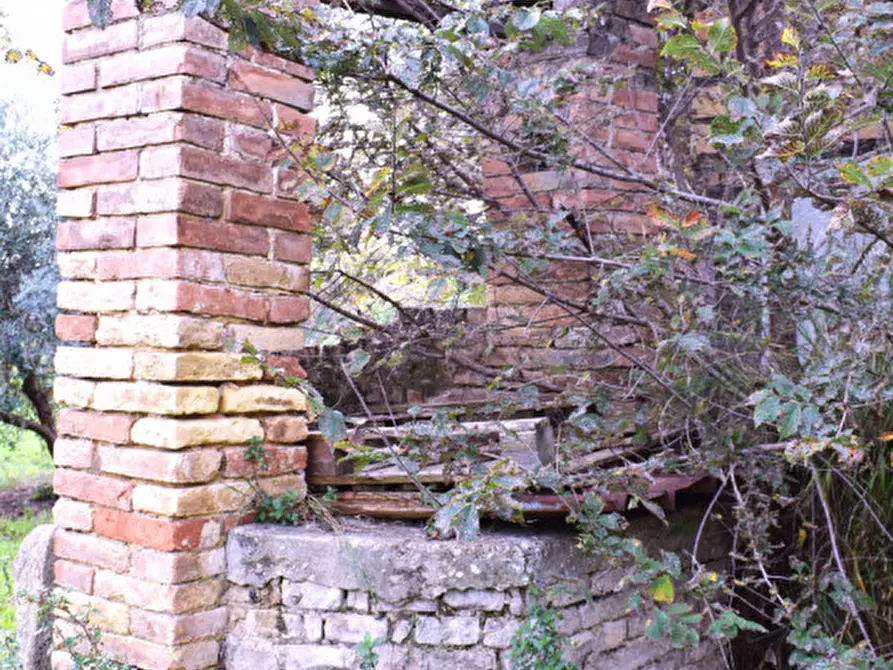 Immagine 24 di Rustico / casale in vendita  in c.da san rocco vecchio a San Vito Chietino