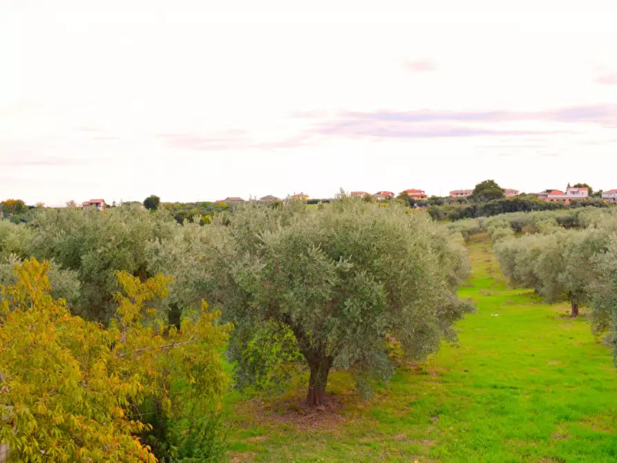 Immagine 25 di Rustico / casale in vendita  in c.da san rocco vecchio a San Vito Chietino