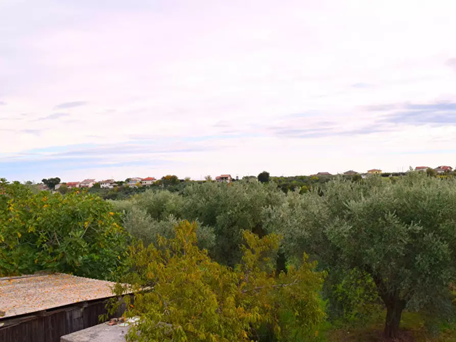 Immagine 26 di Rustico / casale in vendita  in c.da san rocco vecchio a San Vito Chietino