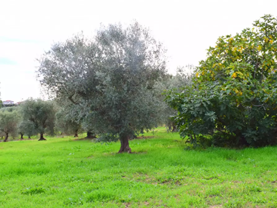 Immagine 28 di Rustico / casale in vendita  in c.da san rocco vecchio a San Vito Chietino
