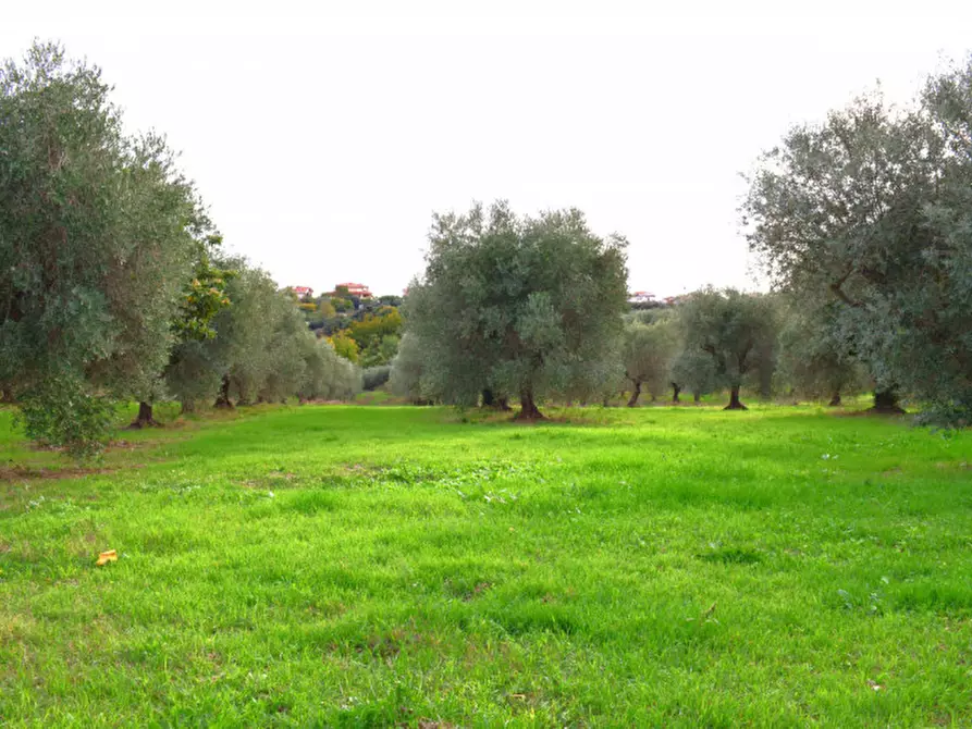 Immagine 29 di Rustico / casale in vendita  in c.da san rocco vecchio a San Vito Chietino