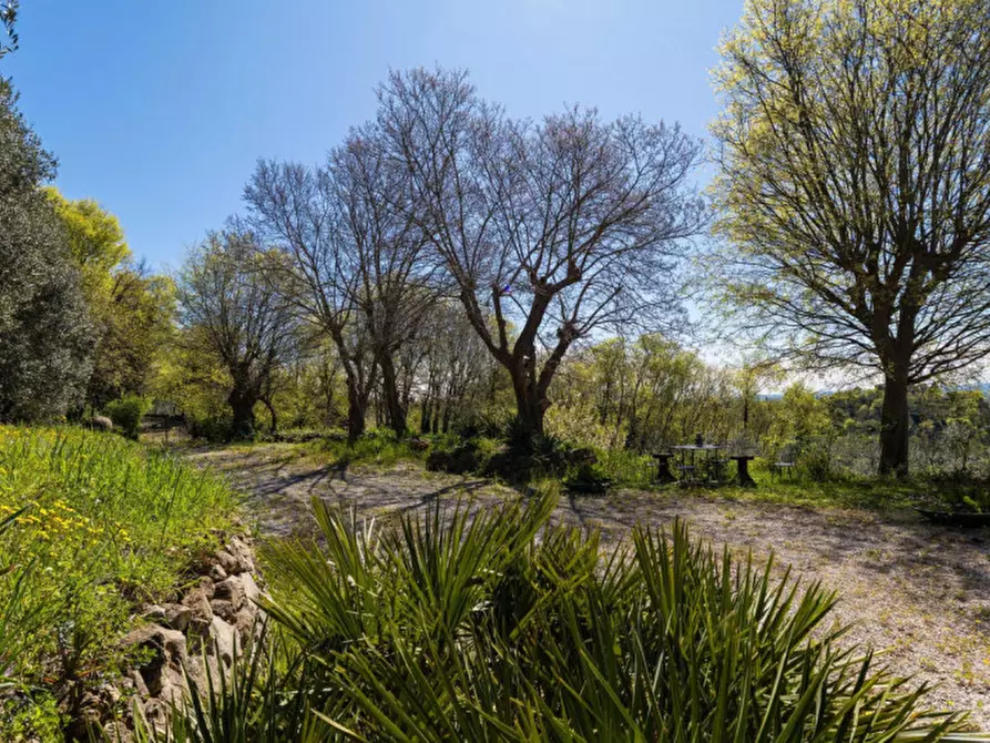 Immagine 21 di Rustico / casale in vendita  in VIA MANDOLARI a Este