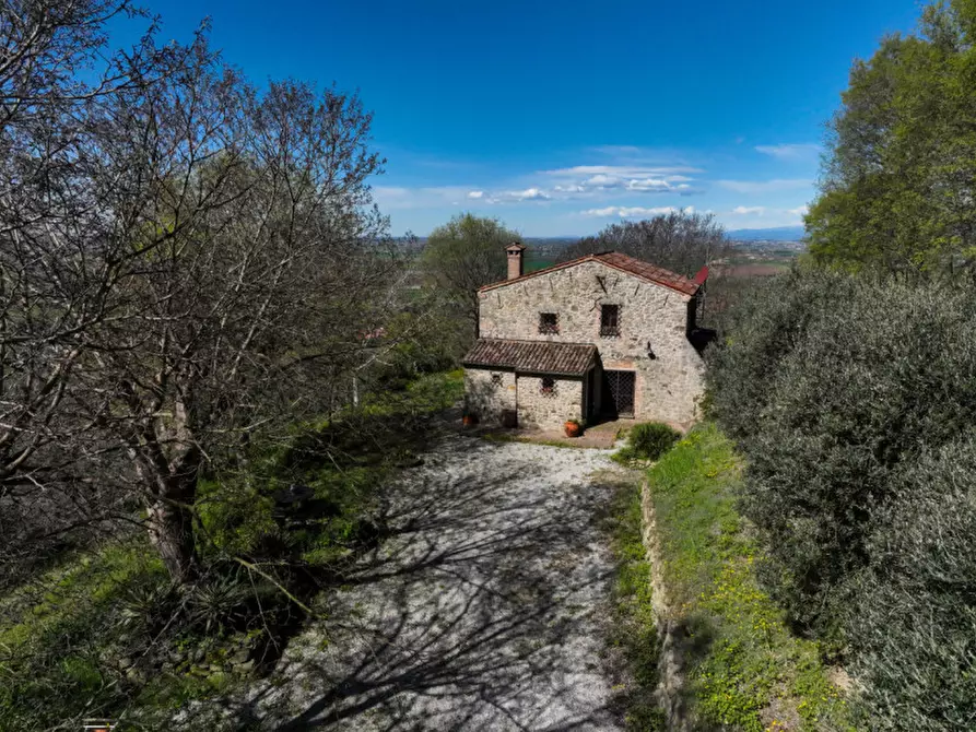 Immagine 22 di Rustico / casale in vendita  in VIA MANDOLARI a Este