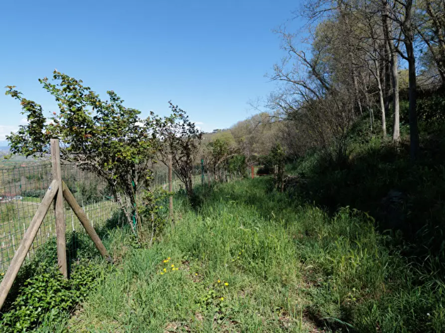 Immagine 25 di Rustico / casale in vendita  in VIA MANDOLARI a Este