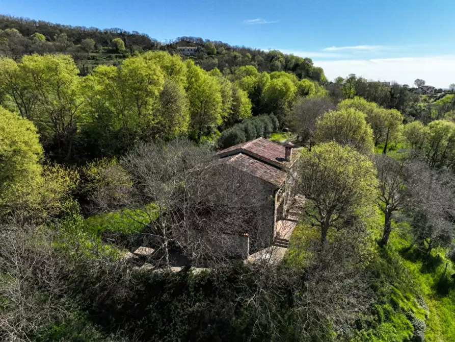 Immagine 26 di Rustico / casale in vendita  in VIA MANDOLARI a Este