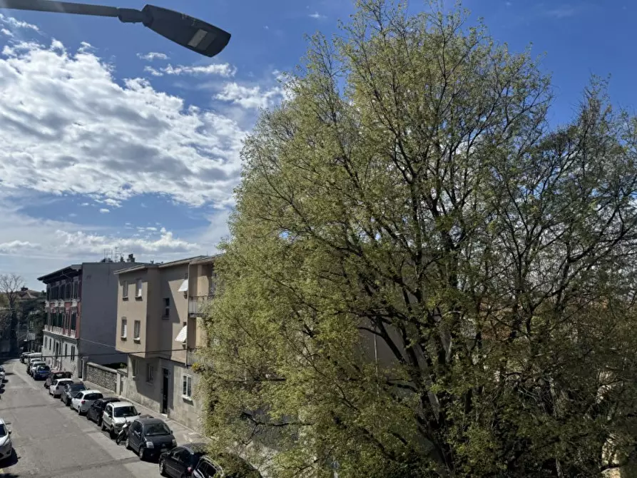Immagine 21 di Camera in affitto  in Via Tigor 30 a Trieste