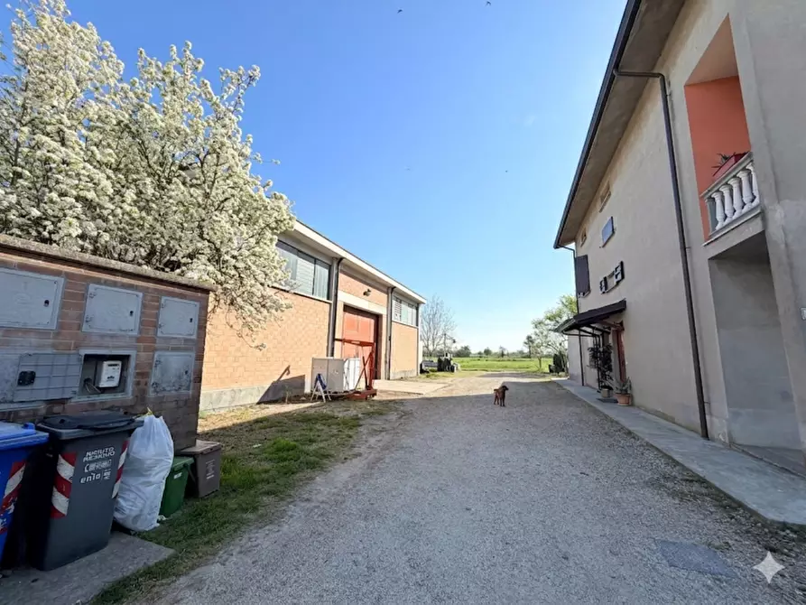 Immagine 22 di Appartamento in vendita  in Via Martiri della Libertà a Sorbolo Mezzani