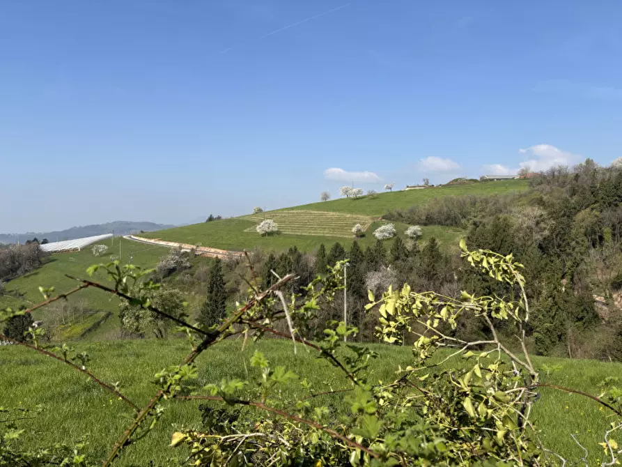 Immagine 15 di Rustico / casale in vendita  in Contrada Costa a Bosco Chiesanuova