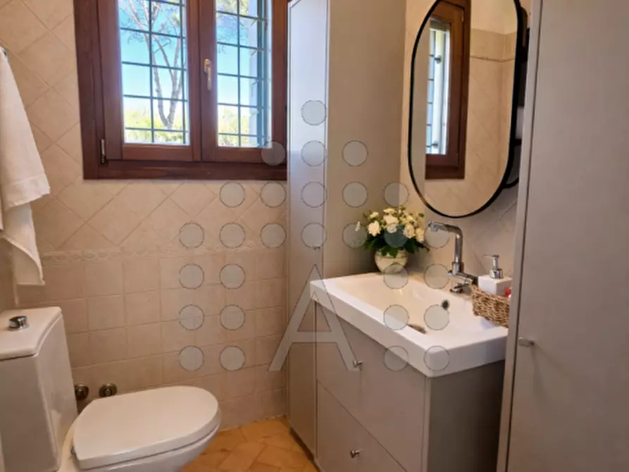 Immagine 7 di Appartamento in vendita  in Via Selve a Selvazzano Dentro