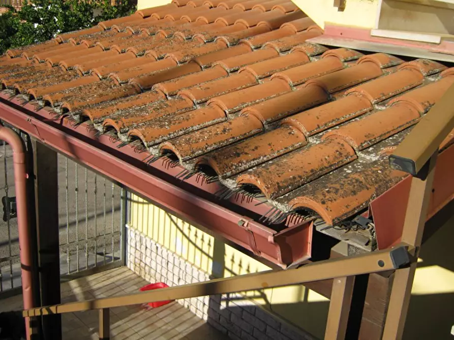 Immagine 3 di Casa indipendente in vendita  in Via Fratelli Vivaldi, 73018 Squinzano LE, Italia a Squinzano