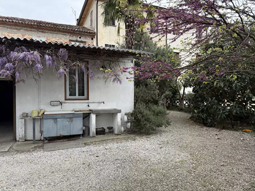 Immagine 27 di Casa bifamiliare in vendita  in Via Risere Vecchie 5 a Chiarano