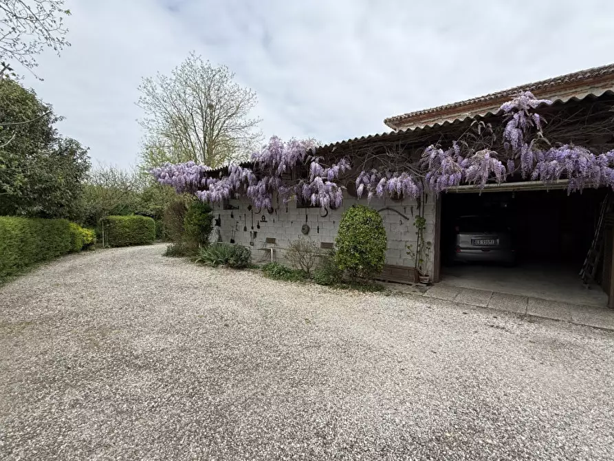 Immagine 28 di Casa bifamiliare in vendita  in Via Risere Vecchie 5 a Chiarano