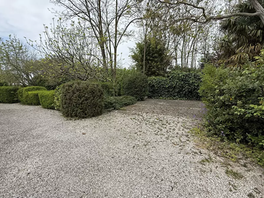 Immagine 30 di Casa bifamiliare in vendita  in Via Risere Vecchie 5 a Chiarano