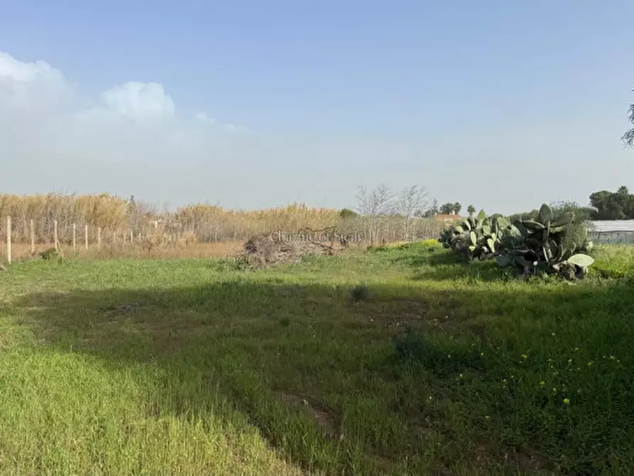 Immagine 33 di Casa indipendente in vendita  a Ispica