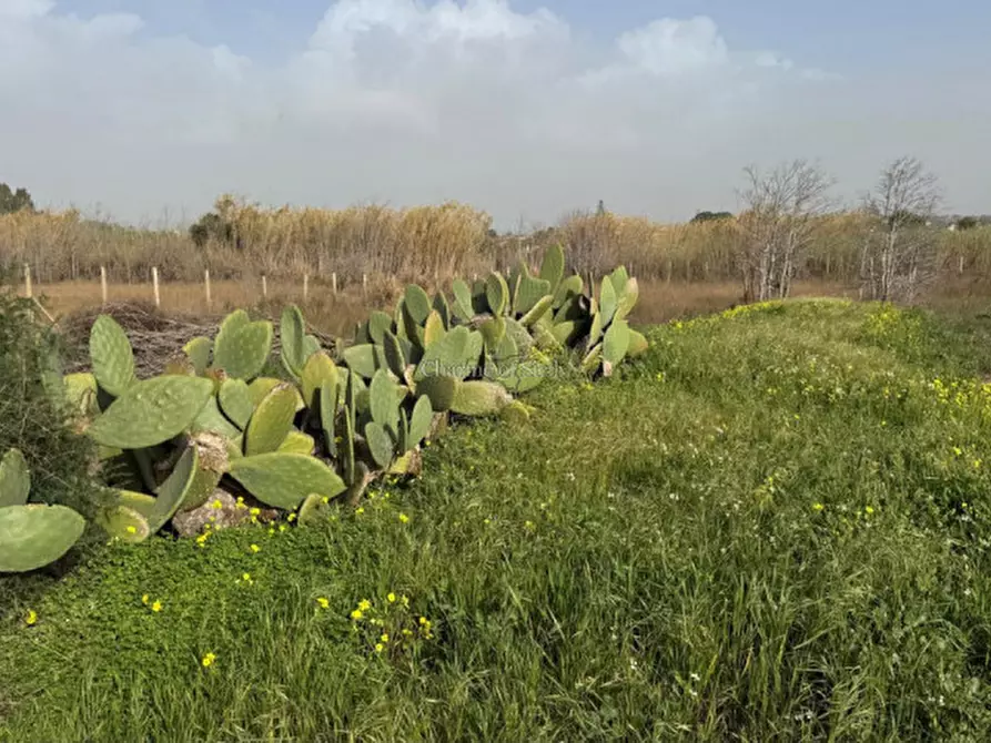 Immagine 34 di Casa indipendente in vendita  a Ispica