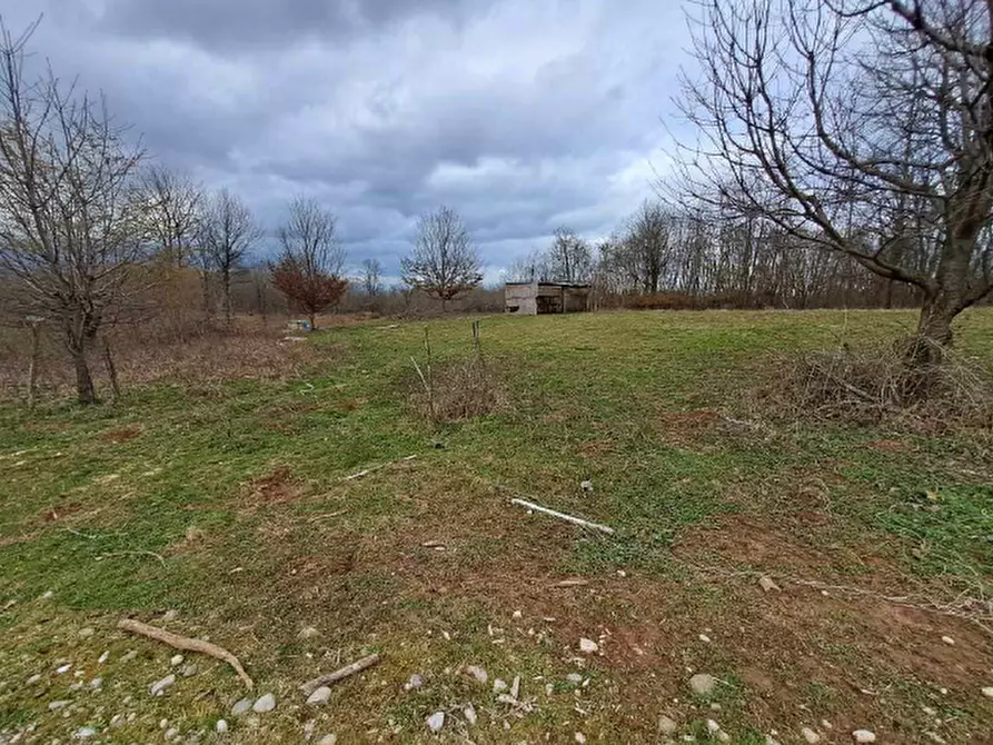 Immagine 3 di Terreno in vendita  in Via XVIII giugno a Crocetta Del Montello
