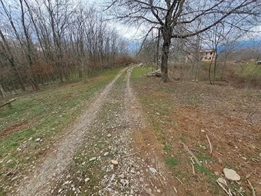 Immagine 4 di Terreno in vendita  in Via XVIII giugno a Crocetta Del Montello