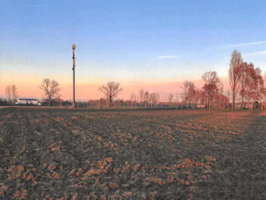 Immagine 2 di Terreno in vendita  in Via Rugoletto, 27 a Santa Maria Di Sala
