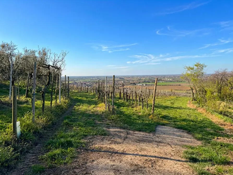 Immagine 1 di Terreno in vendita  in VIA MANDOLARI a Este
