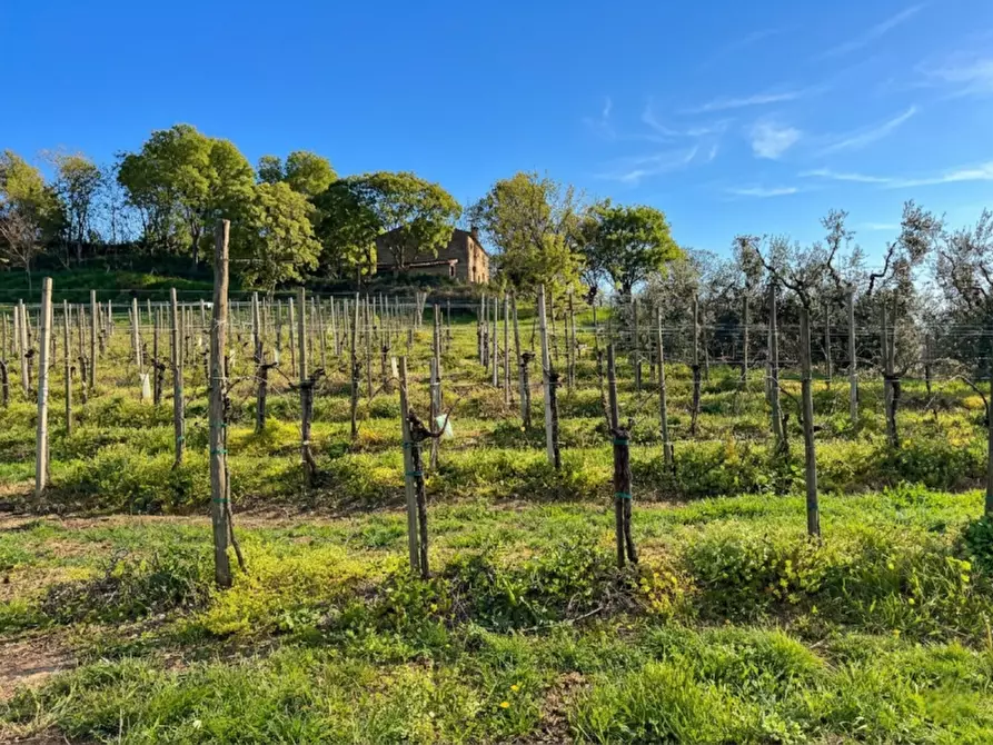 Immagine 3 di Terreno in vendita  in VIA MANDOLARI a Este